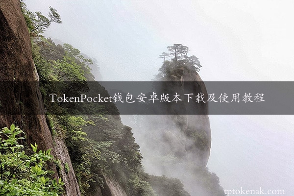TokenPocket钱包安卓版本下载及使用教程