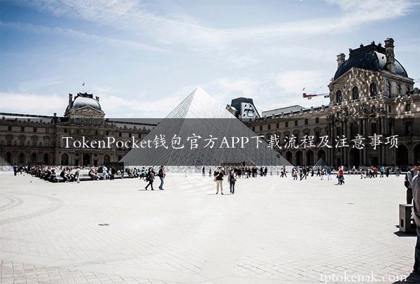 TokenPocket钱包官方APP下载流程及注意事项