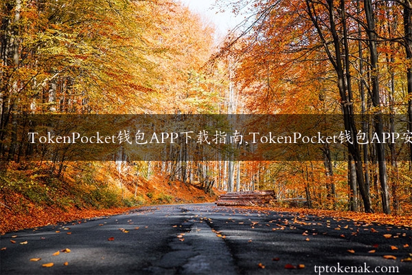 TokenPocket钱包APP下载指南,TokenPocket钱包APP安装教程