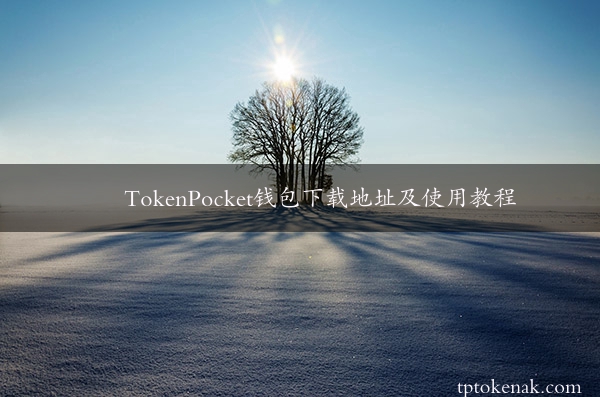 TokenPocket钱包下载地址及使用教程